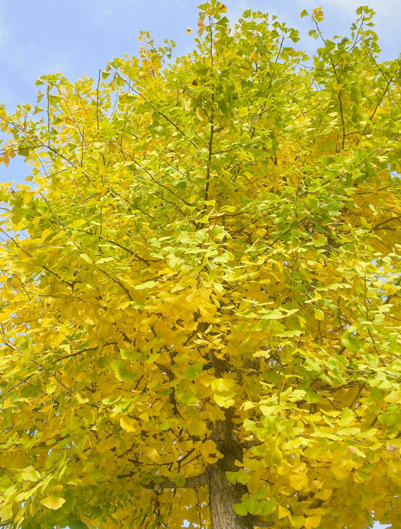 今天天气还是不错的 ​​​