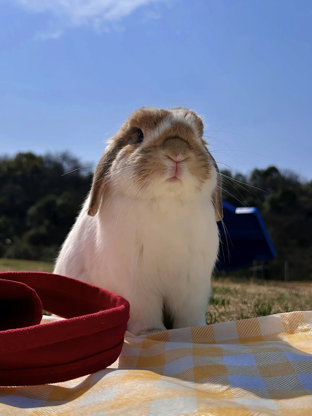 🧺孩子非要出去玩！