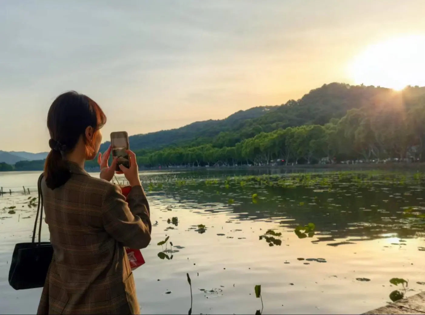 🌷江南忆 最忆是杭州🍵