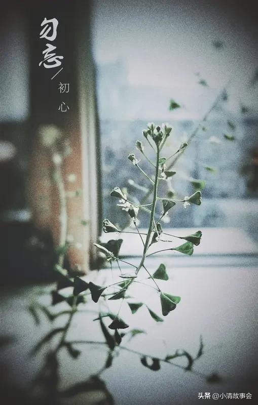 太执念于过去，想改变其实有不少办法。很多时候，执念就像卡在喉咙的鱼刺，难受又难处