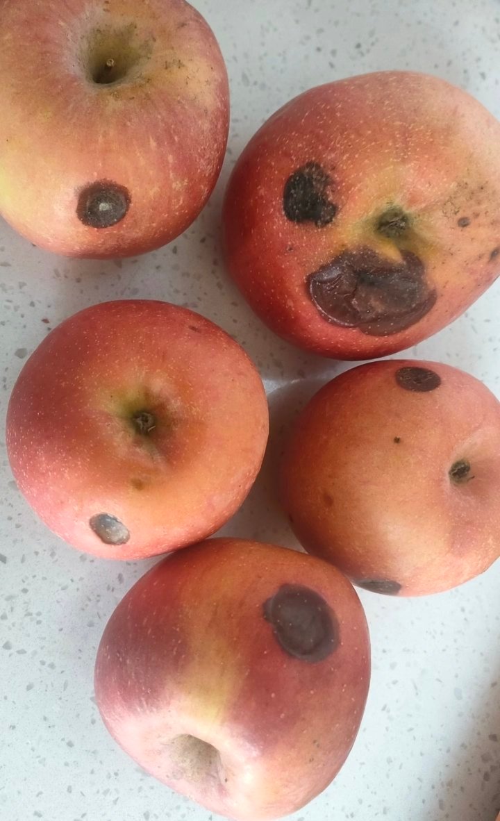 先吃烂苹果最后吃的全是烂苹果真实，要是有好的和烂的苹果，你会先吃哪一个