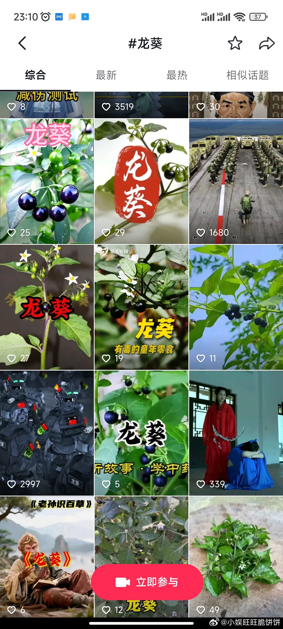 刘诗诗的龙葵数据竟然是这样吗？ 