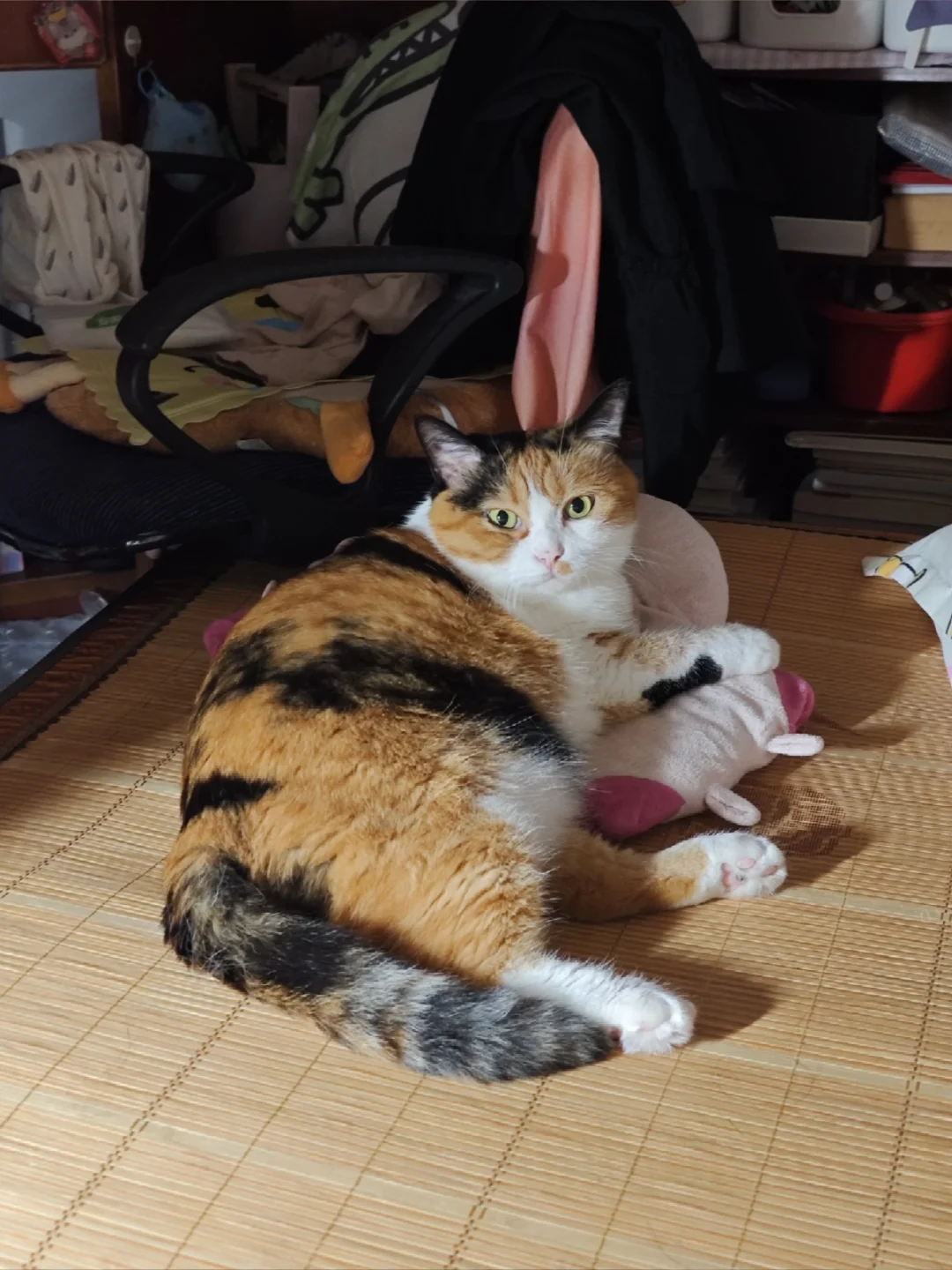 人 咪先睡了