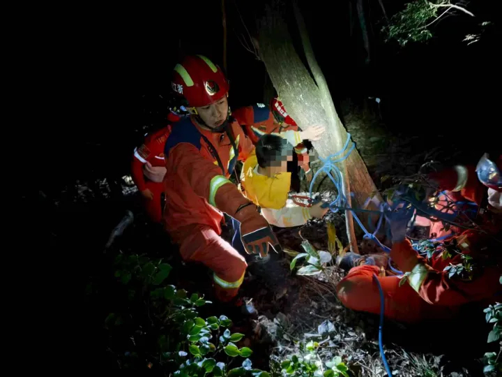 #父亲带6岁儿子爬山被困11小时#【杭州一父亲带6岁儿子爬桐庐大奇山，走着走着就