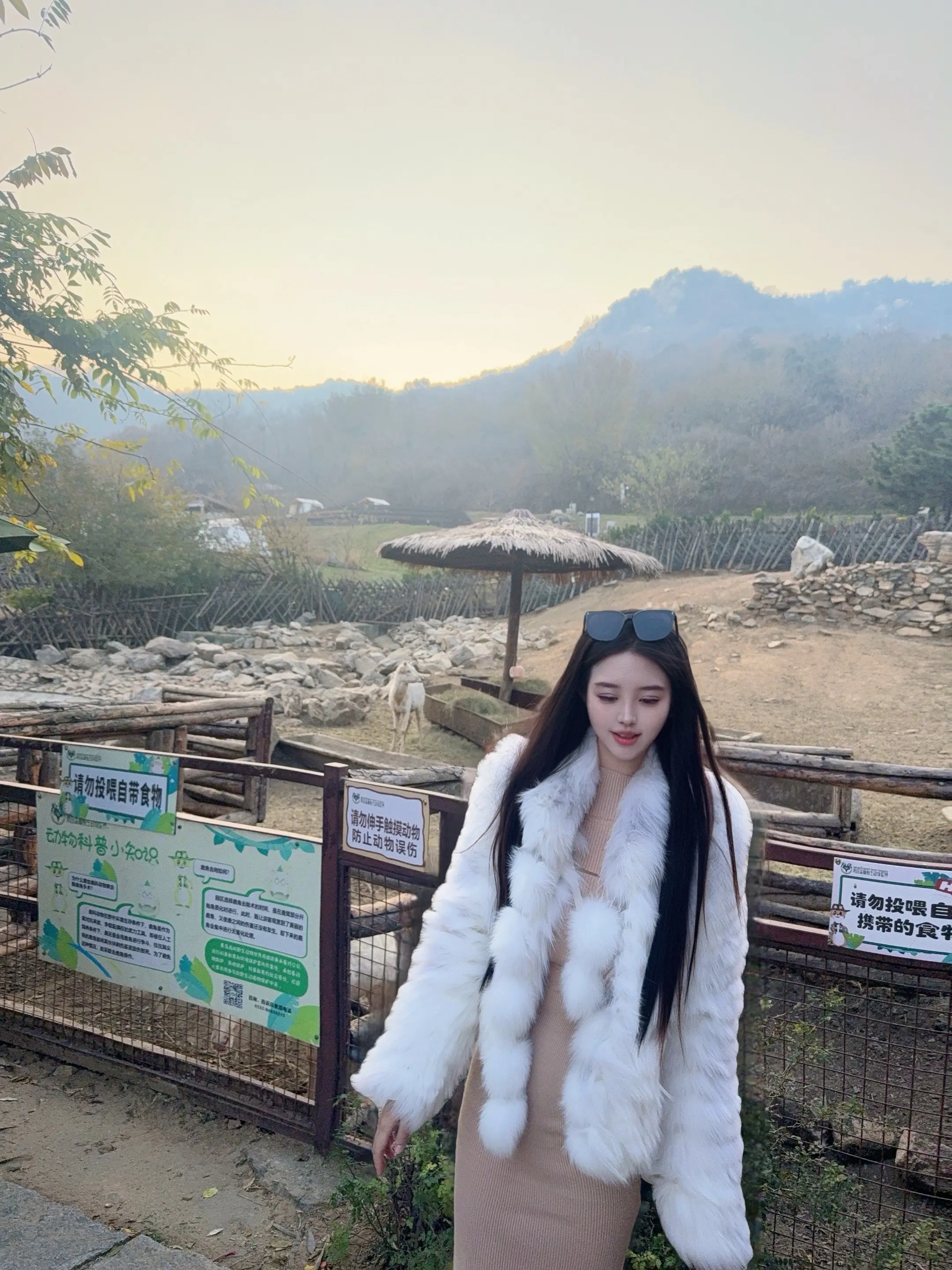 今天的快乐是动物园给的，就是动物们不太爱理人