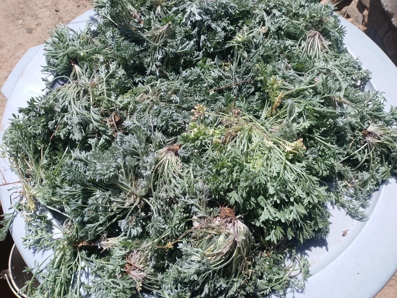 老师教了你正确的发力方式，
和正确的运动轨迹，
你要拿出时间来死命地去练习，
没