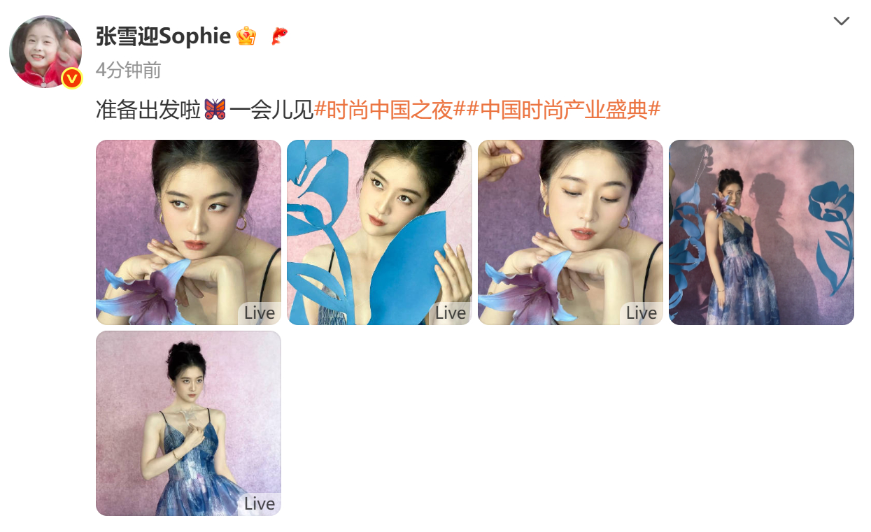 张雪迎蓝色百合裙张雪迎性感女人 蓝色百合长裙造型，V领露出锁骨还有点小性感呢！ 
