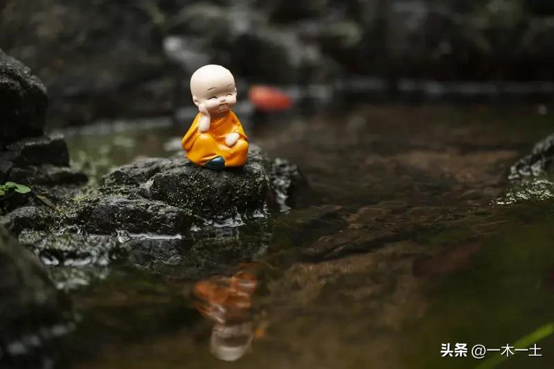 人生这场修行，修的是一颗心。就像苏轼一生宦海浮沉，多次被贬，却能在困境中吟出“竹