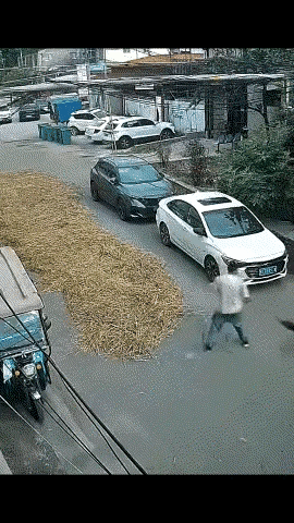 在路上，借助别人的车压粮食，非常反感这样的行为，不仅非常的不安全，而且技出来的粮