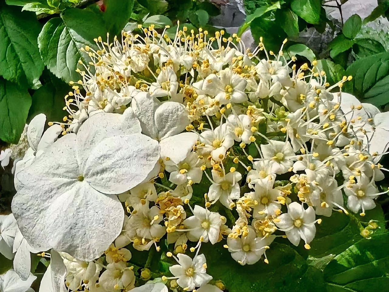 张雪峰早就身家上亿，妥妥的富豪级别，可他妻子依旧坚持回河南师范大学教书，潜心钻研