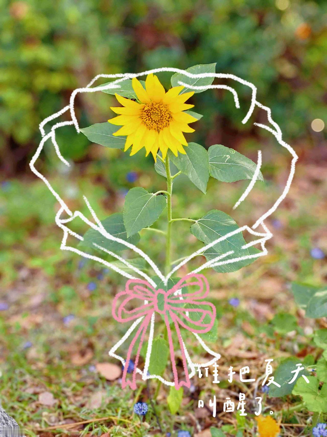 别赶，夏天的日子长着呢。

带定位晒今日生活
我的今日状态：😁轻松愉快
我这里