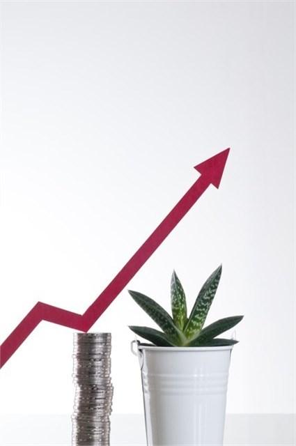 刚才在证券营业部，听到两个老操盘手嘀咕：“今天这涨势，看着热闹，怕是有人在‘托盘