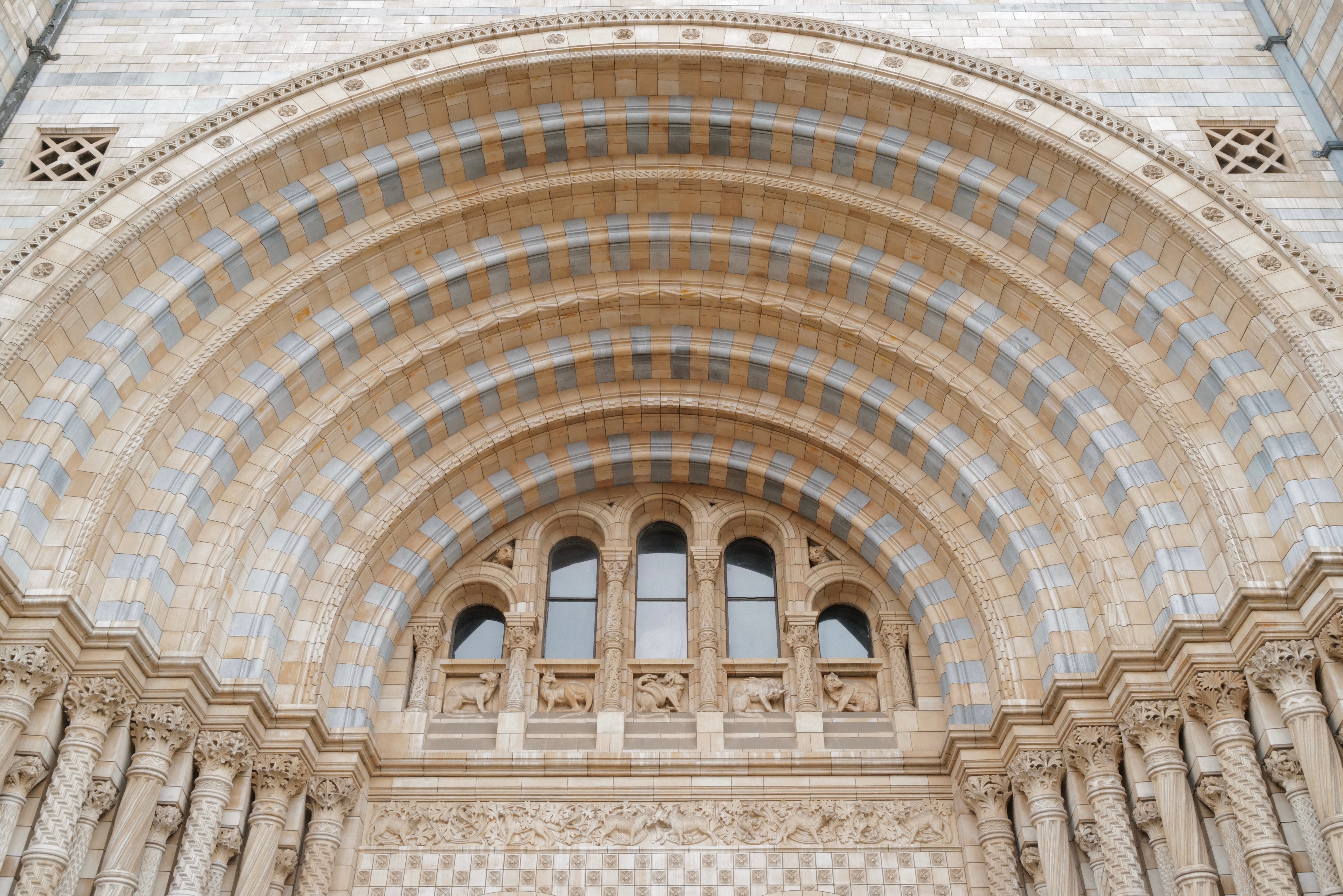 顿伦见闻（三）：慕名去自然史博物馆。首先建筑可观，中央大厅最能展现维多利亚时期哥