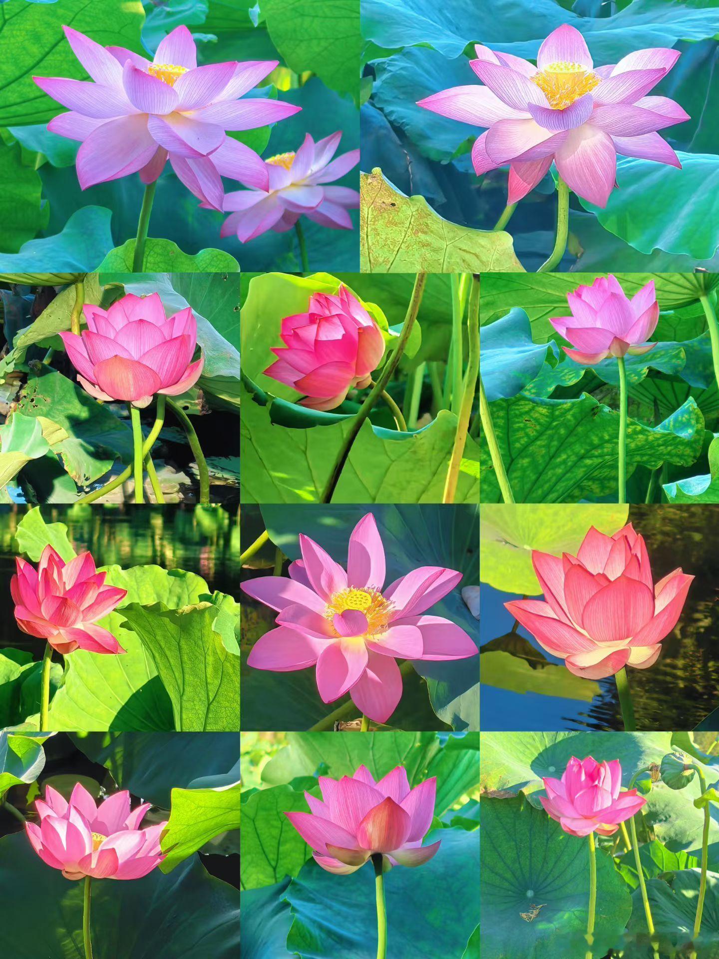 繁花里的一段话：我们都是挣点小钱的普通人，所以，很多事情不用放在心上做好自己当下