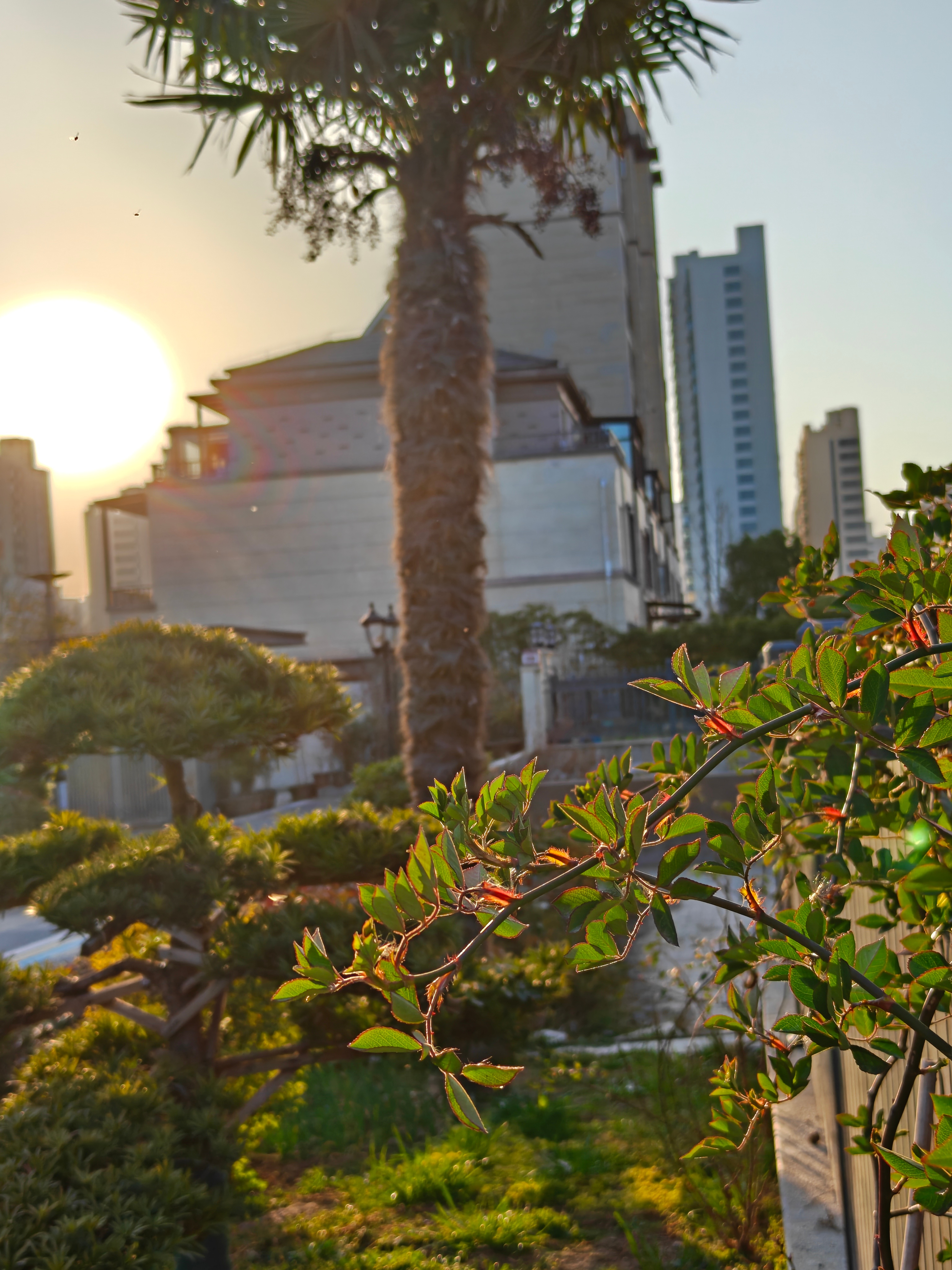 2026返程高峰返程开始了，小县城恢复了往日的平静