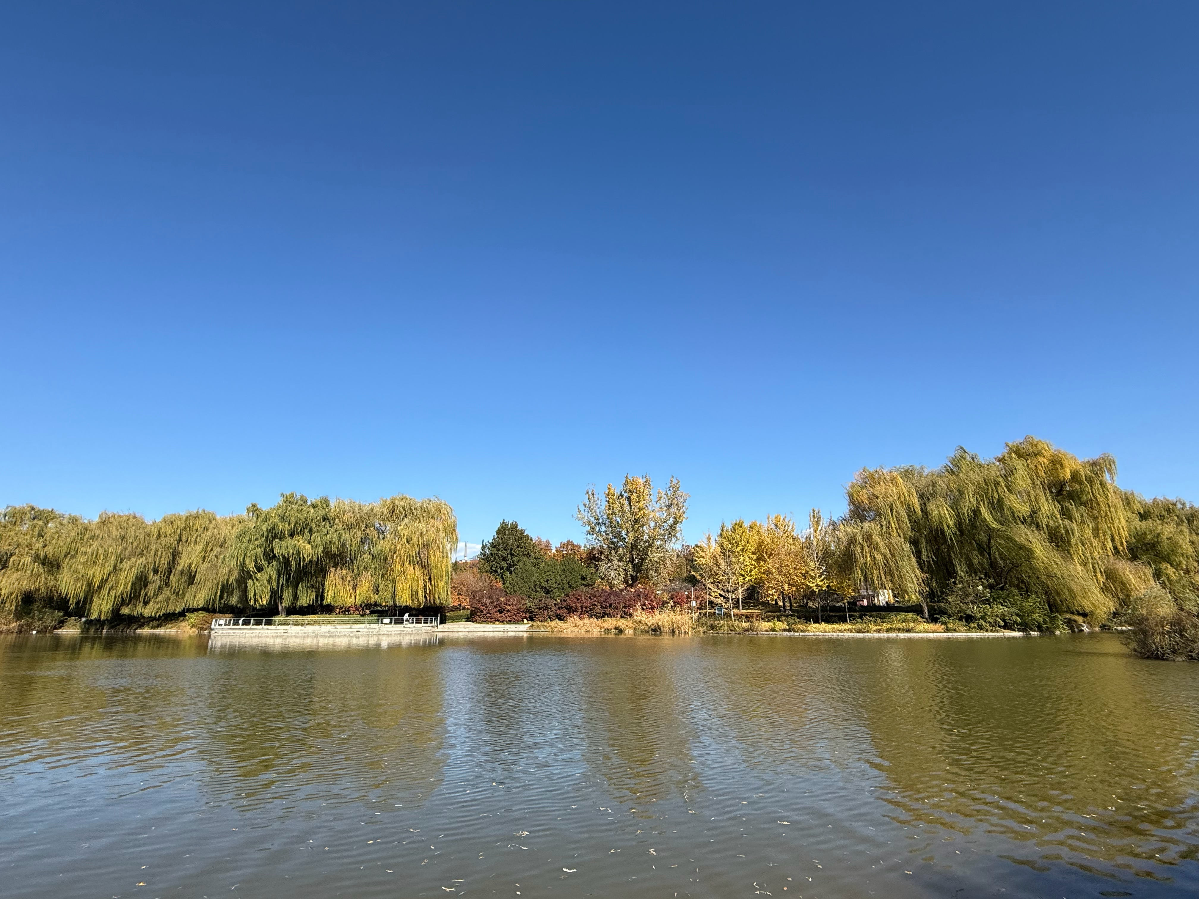 11月你好2025年最后2个月下周就立冬了 北京一年中最美好的时候——秋天🍂 