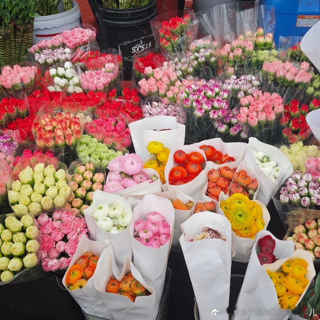 日常  把这些花都给我包起来[doge] 