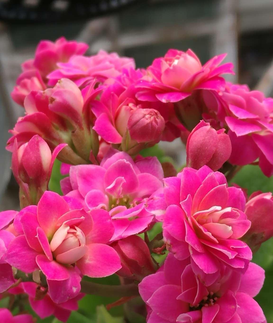 周二盘后再度传来多条重磅消息，周三市场机会与风险探讨！
周二盘后重磅消息如下：