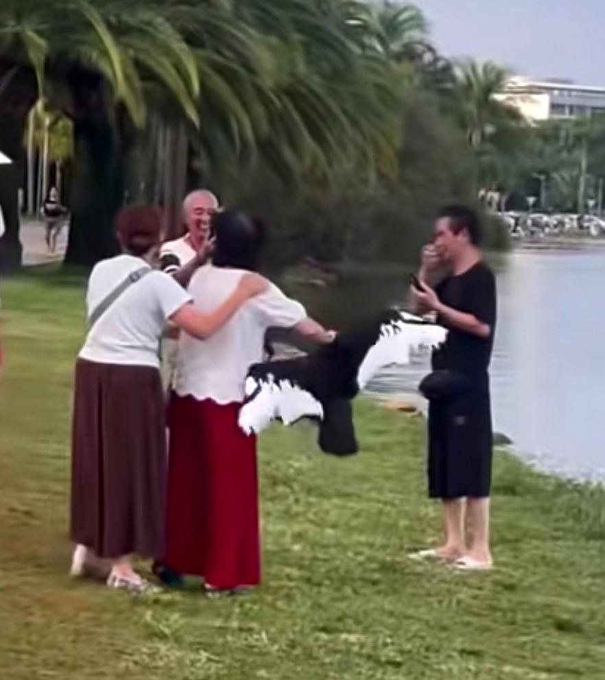 8月17日，云南弥勒湖泉生态园，一女子强抓黑天鹅翅膀根部拍照，黑天鹅不断挣扎并发