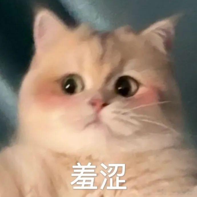 杭州铜鉴湖上线无人驾驶游船 当智能科技邂逅湖光山色，铜鉴湖无人驾驶游船上线，船只