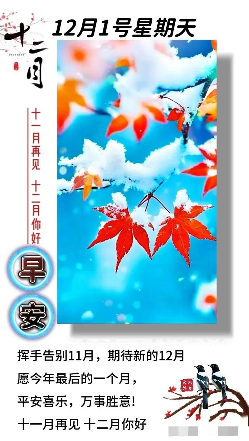 早安吉祥周末愉快
2024年12月1日
农历十一月初一
福州市晴10～23度
