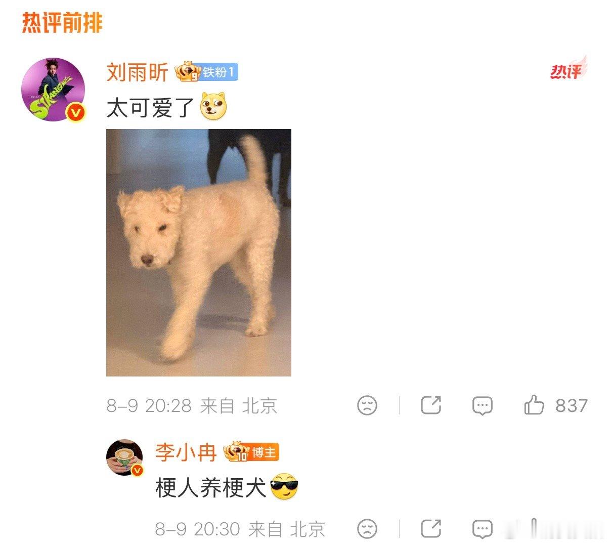 【 李小冉说刘雨昕花拉的比她好 】刘雨昕回复李小冉 8月9日，发文表示：家里来了