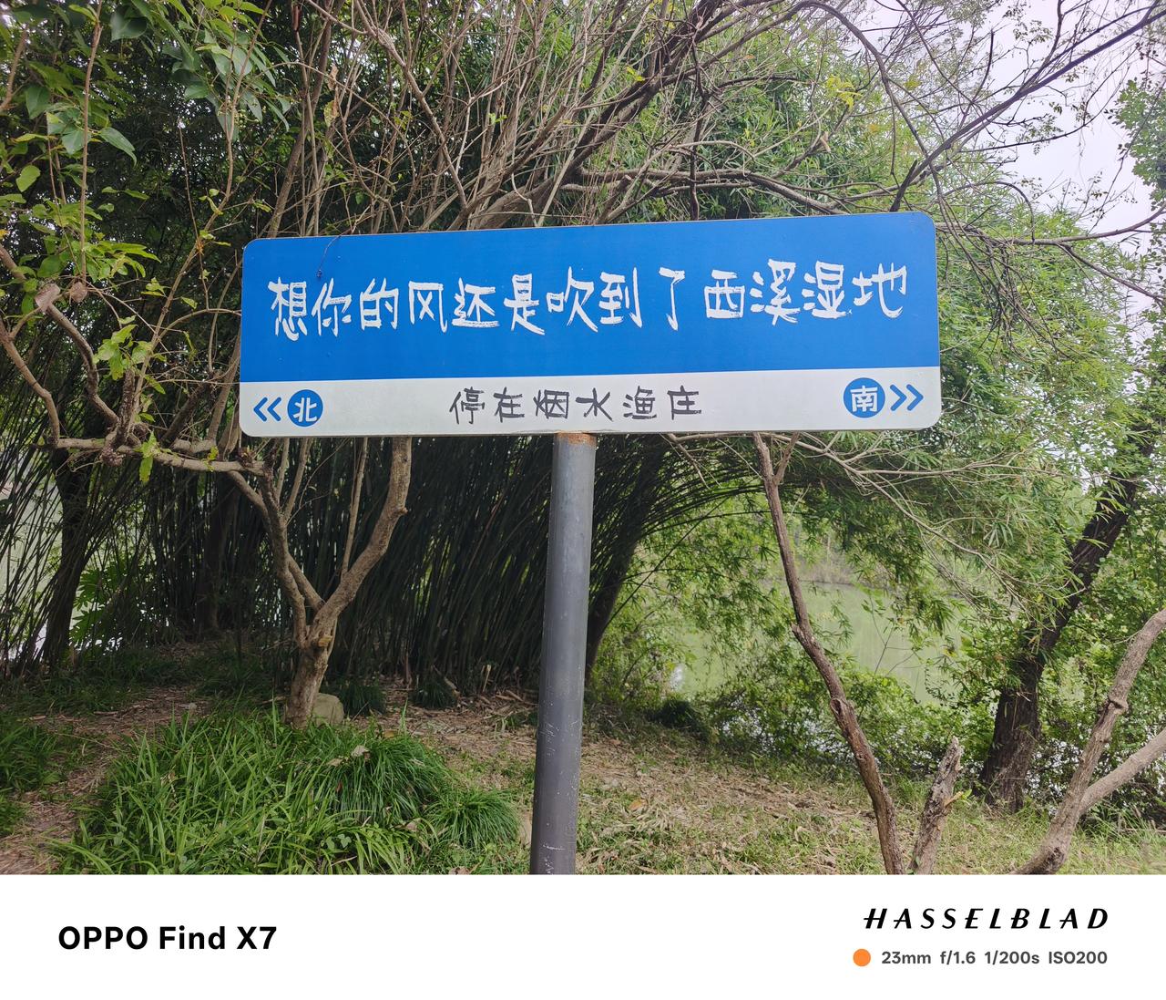 杭州打卡第五天✨｜西溪湿地+河坊街
 
八点抵达西溪湿地，恰逢细雨，游人寥寥，格