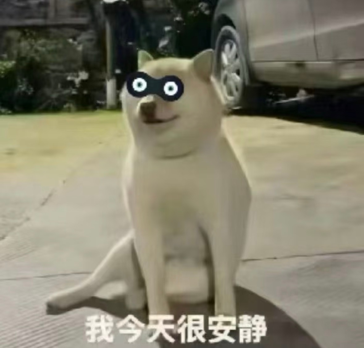 都怪王鹤棣唱的那个情人 我都忘记原唱怎么唱了 ​​​