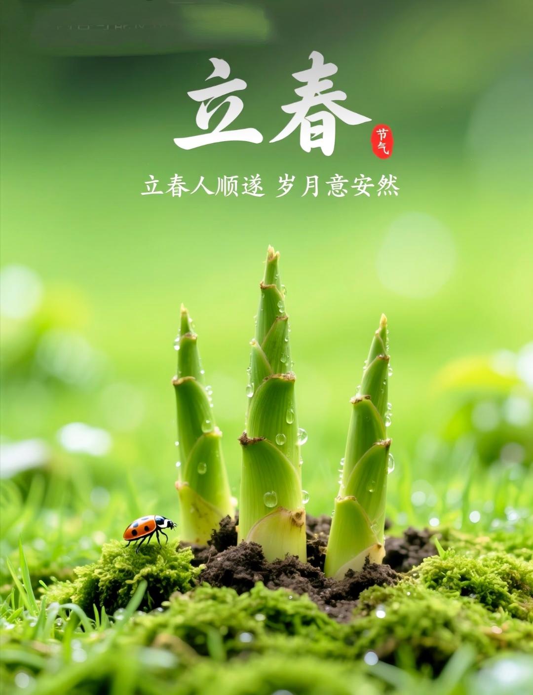 今日立春，无论多忙，牢记4忌讳：1不睡、2不关、3不脱、4不争
今天是2026年