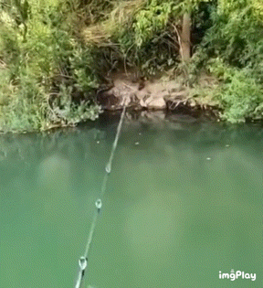 这是在尼斯湖钓鱼呢吧？