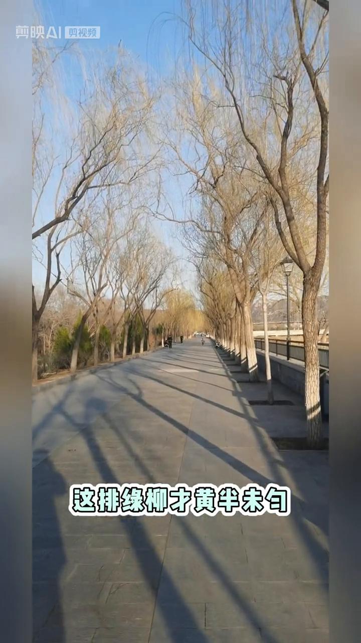 这排绿柳才黄半未白，简直美翻天际了。瞧那河面波光粼粼的，好像在耳边轻声细语讲故事