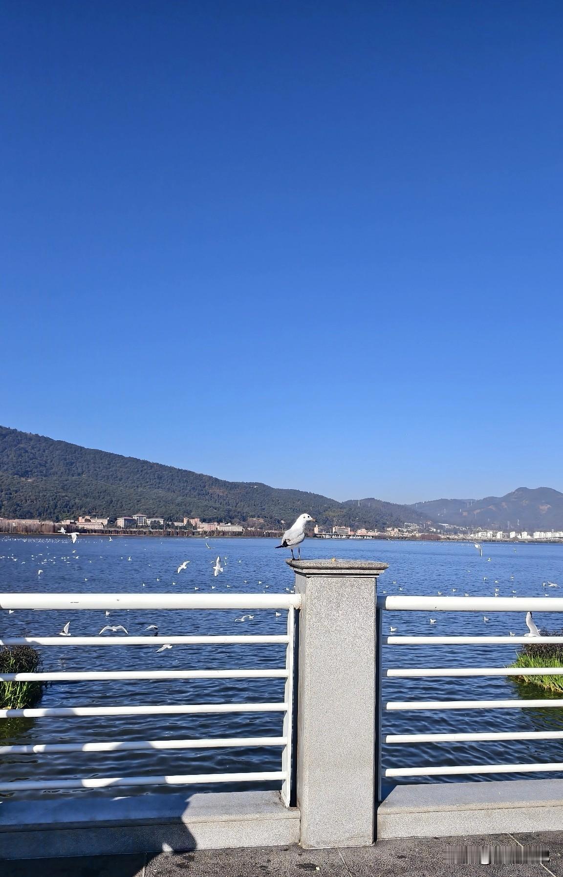 新年，与热爱重逢

新年的钟声，是唤醒沉睡爱好的号角。
翻开尘封的画册，颜料依旧