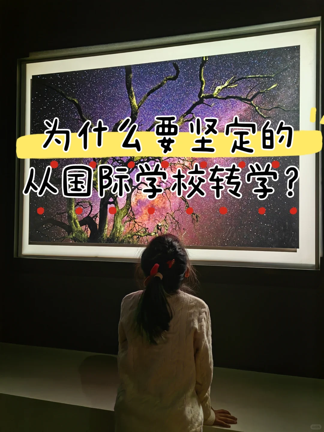 为什么坚定的要转出国际学校？