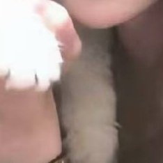 angelababy angelababy 你的出现是降临无世的DAWN