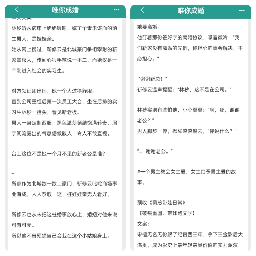 网文 每日小说 已完结 言情 完结文