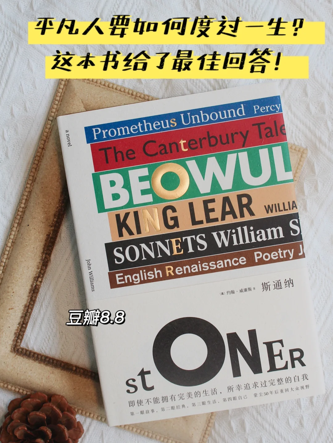 豆瓣8.8｜我只后悔没有早点读到它！ 🤔