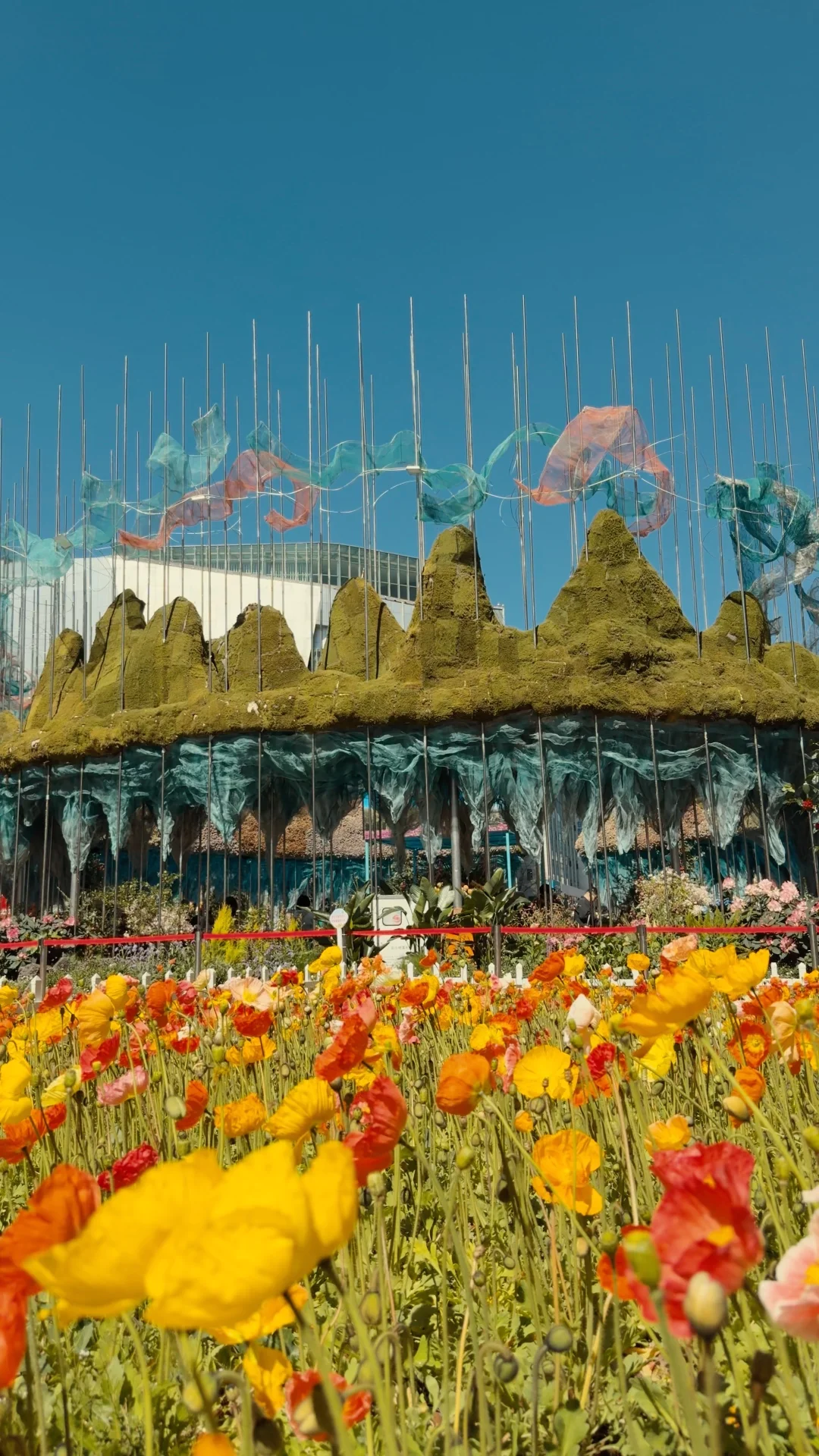 昆明2000平花展，这很“南屏”