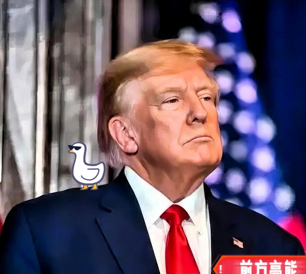 美国又发现了一个抓住命门的软肋，除了稀土，握住美国医药供应链命脉的居然是这个大国