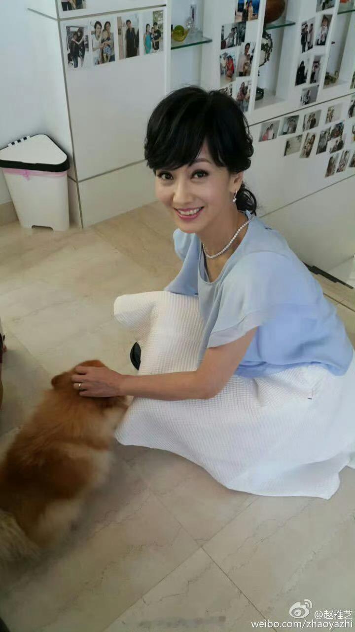 芝童道合  所以这只小狗还有别的说法吗？已知赵姐身后照片强为广告拍摄地点。 