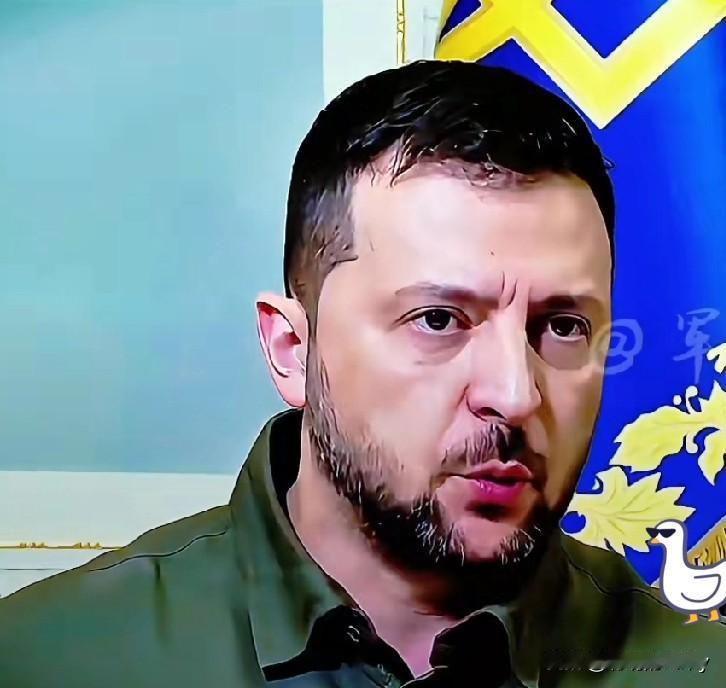 快报！快报！

就在昨天乌克兰总统宣布

10月31日，乌克兰总统泽连斯基宣布乌