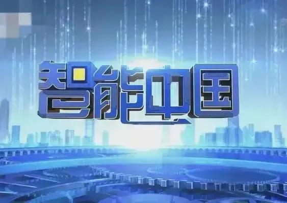 中国人工智能领域前十的公司：
 
01：寒武纪（AI芯片）
02：华为   （昇