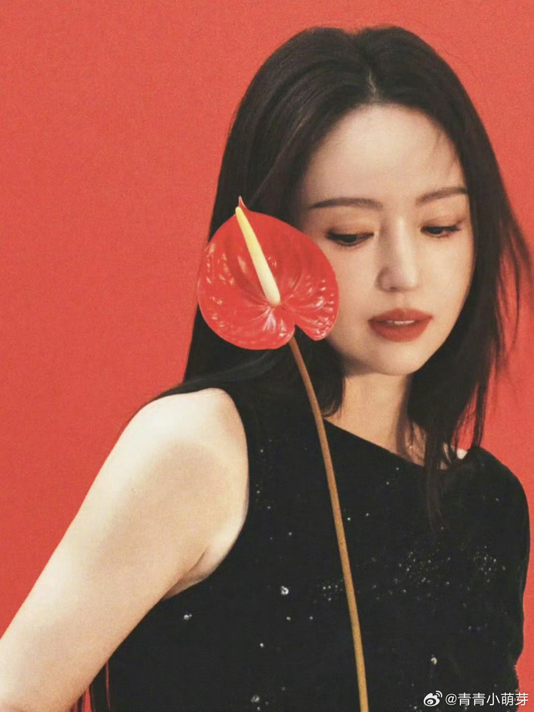 董璇没有网友了解张维伊董璇被网友整懵啦，在了解张维伊这件事上，网友比她还懂。各种