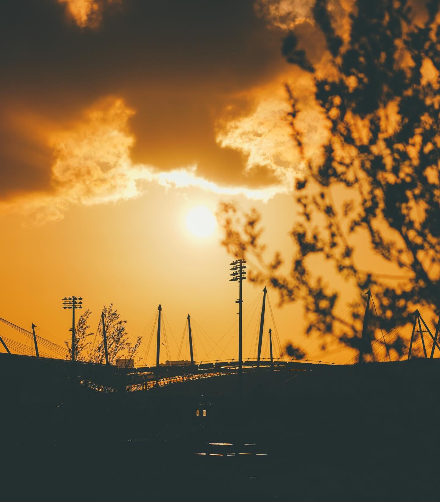 曼城御用摄影师汤姆发的一些图