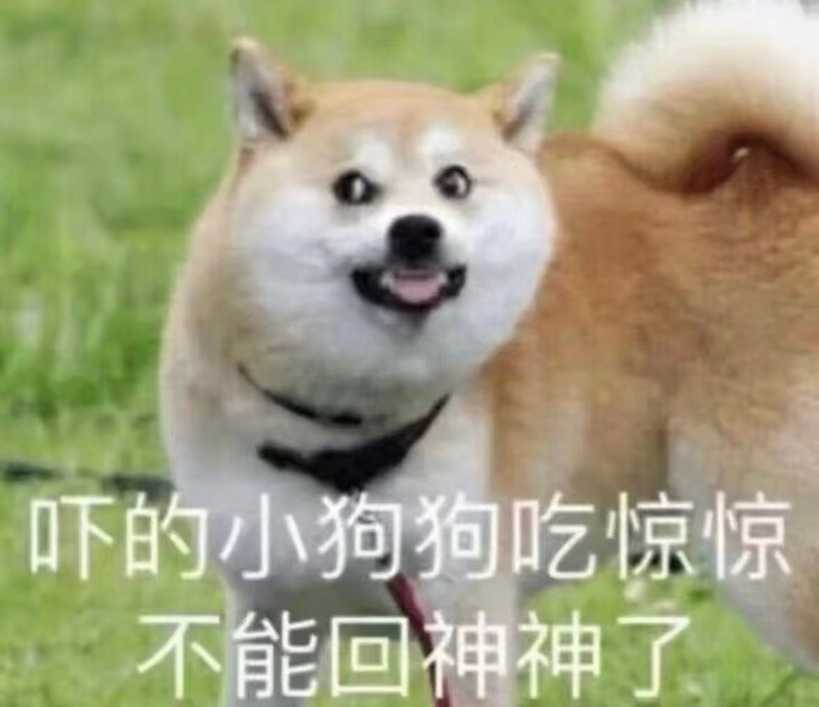 分享图片 ​​​