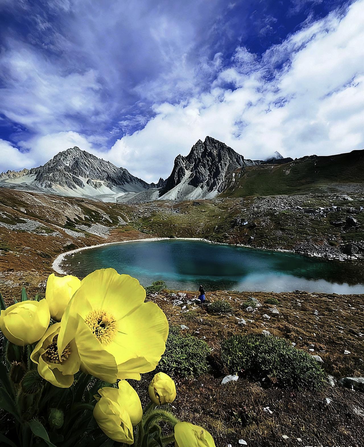 齐齐格果果摄影