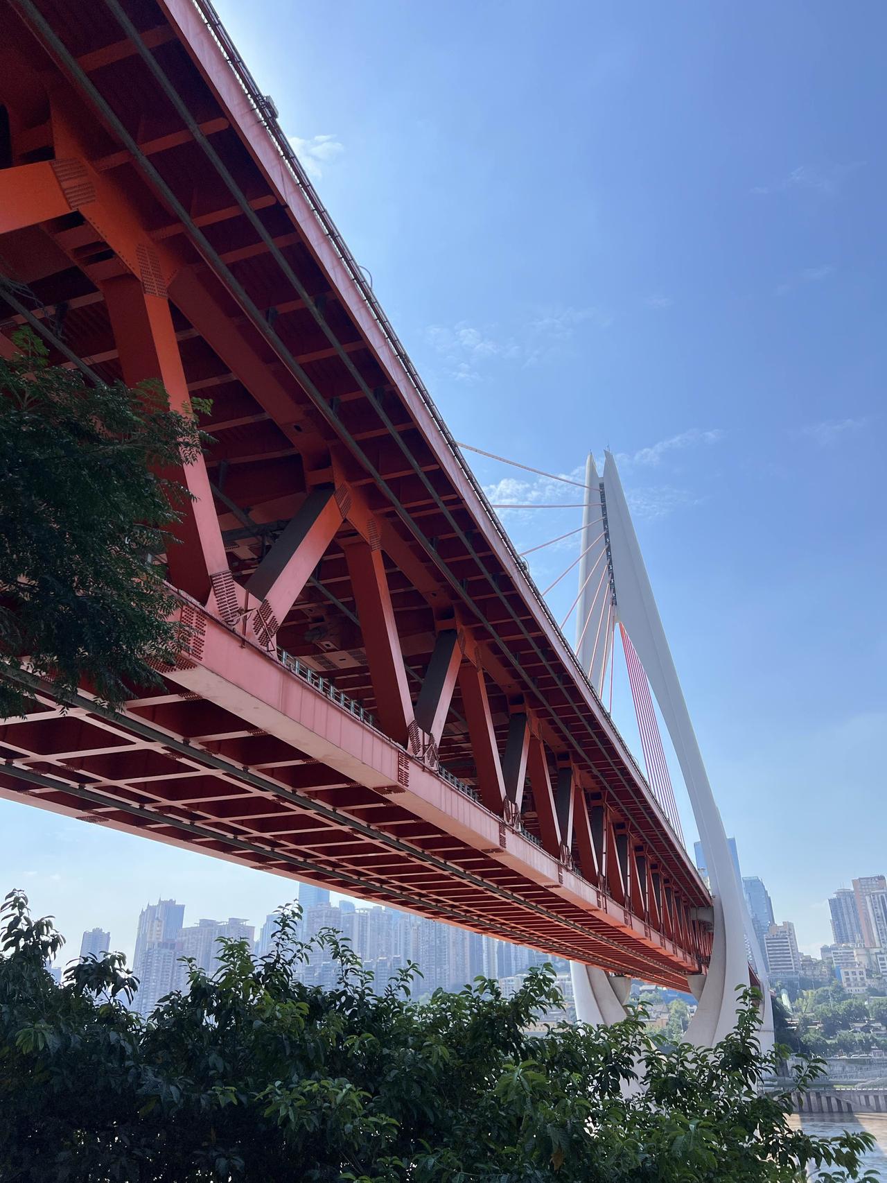 这是哪儿？我在哪儿？依旧炙热的城市。分享一下你随手拍下的照片实拍随手拍 秋天随手