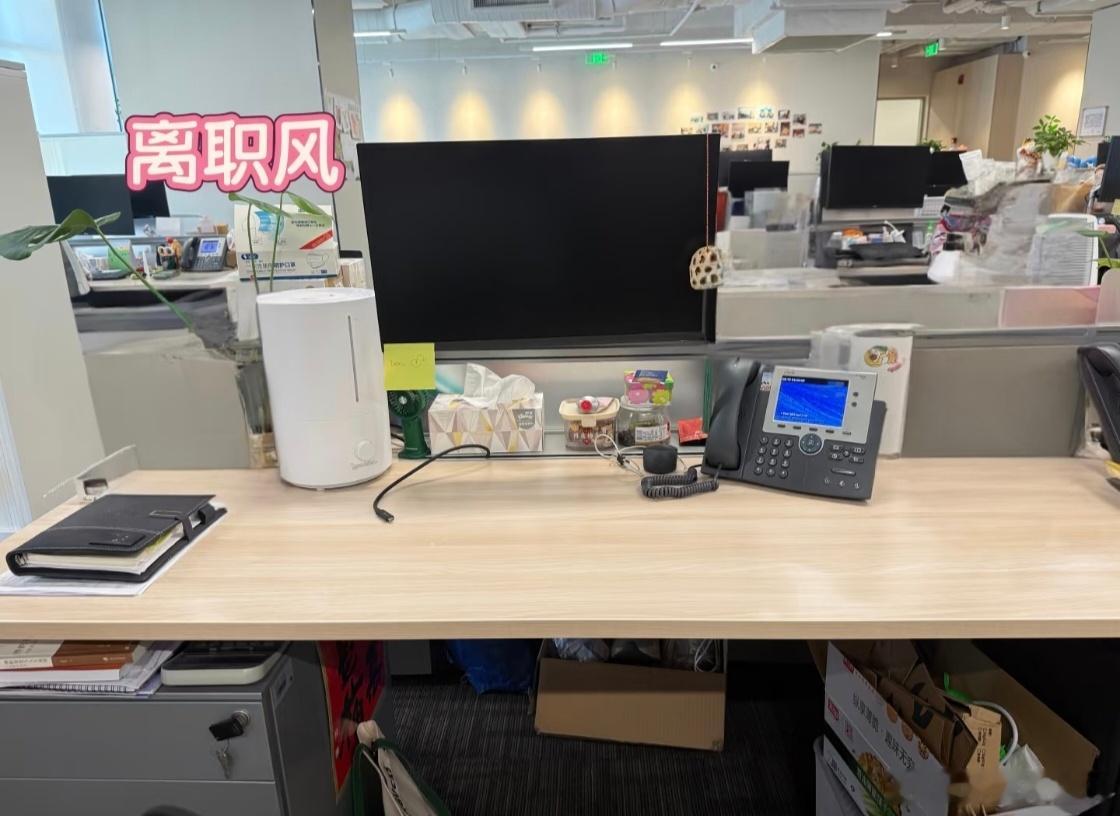 一看这个电脑就不是要离职的离不离职有时候通过桌面搭配就能看出一二，懂得都懂