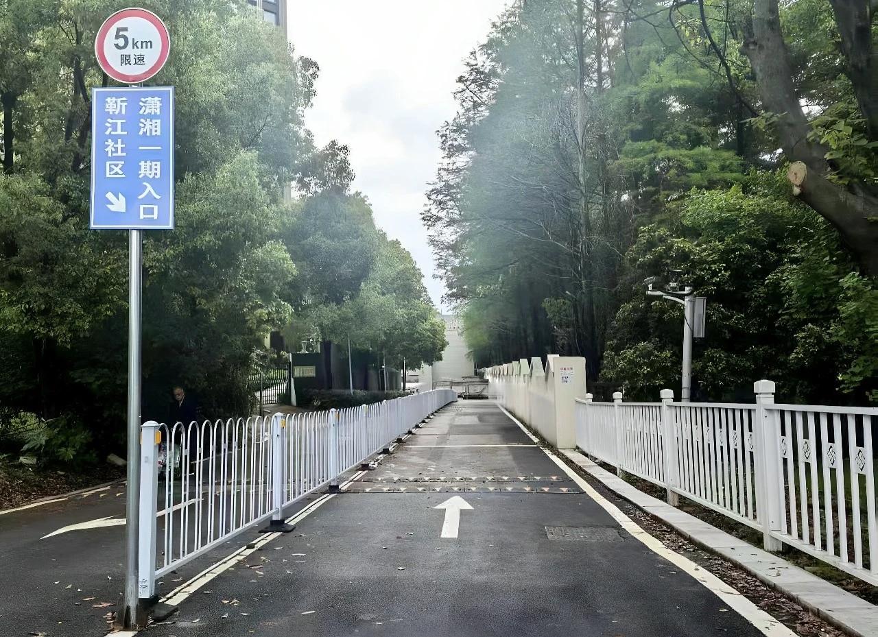 靳江双路焕新：基层治理铺就民生连心路
 
近日，湖南湘江新区岳麓街道靳江社区两条