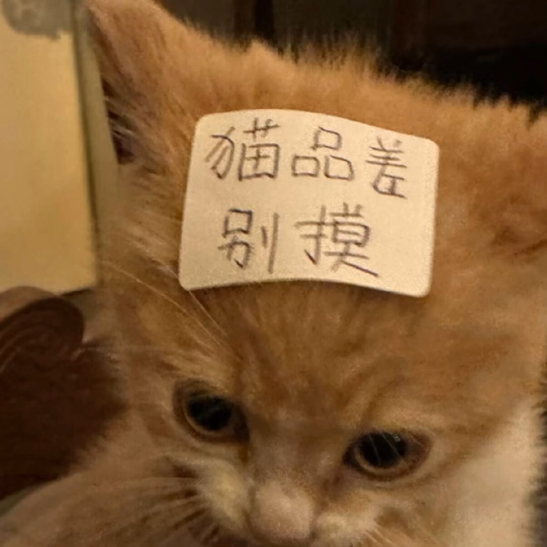 我以前说过，吸引我的、我喜欢的、适合我的，是不同的类型就比如说，能吸引到我的人极