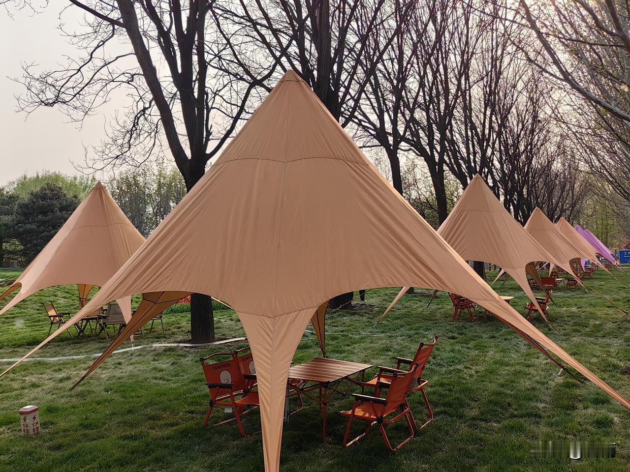 老年人晚上睡眠差，别发愁！试试这样简单几招，帮助睡安稳。
 
友友们，你们有没有